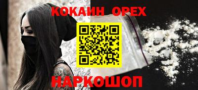 индика Новодвинск