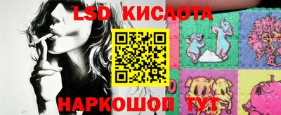 индика Новодвинск