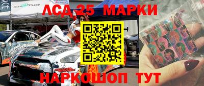 индика Новодвинск