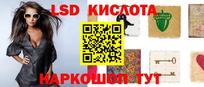 дживик Новозыбков