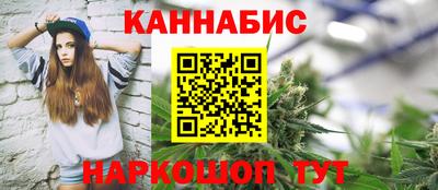 индика Новодвинск