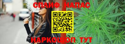 дживик Новозыбков