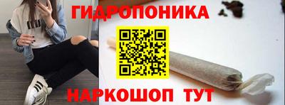 дживик Новозыбков