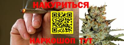 индика Новодвинск