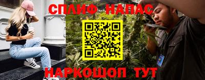 индика Новодвинск