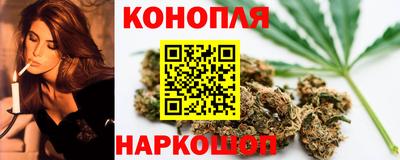 индика Новодвинск