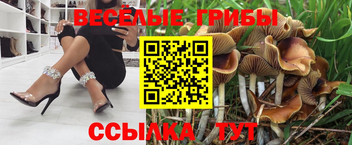 Благовещенск  Галлюциногенные грибы ЛСД  Псилоцибиновые грибы Cubensis  Вход с VPN 