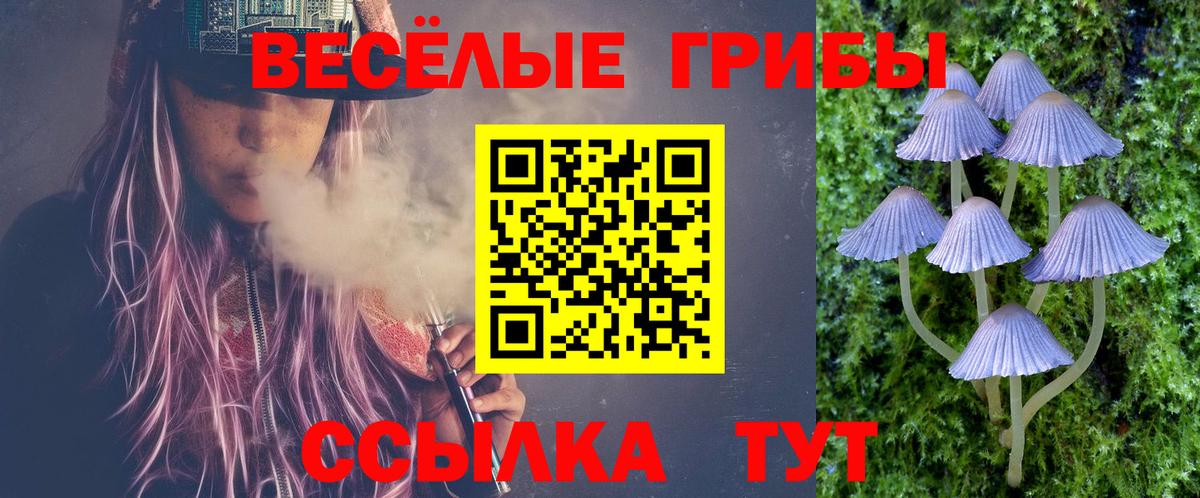 Псилоцибиновые грибы Cubensis Благовещенск